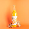 Ingwer Kurkuma Shot PUR | Bio | ohne Zucker